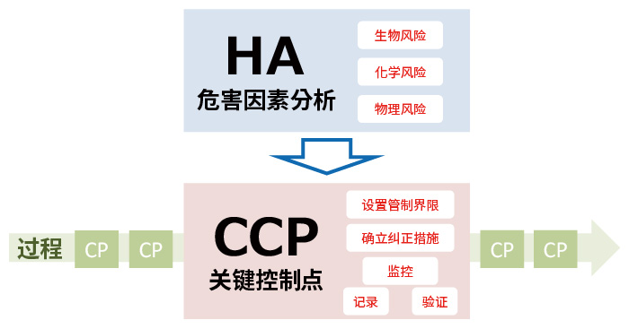 HACCP 危害因素分析 关键控制点
