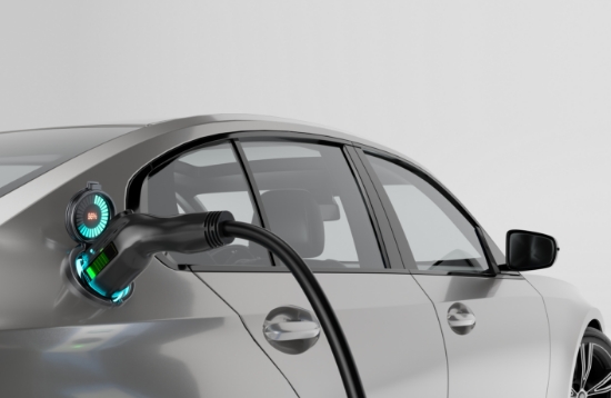 致力于实现可持续发展社会