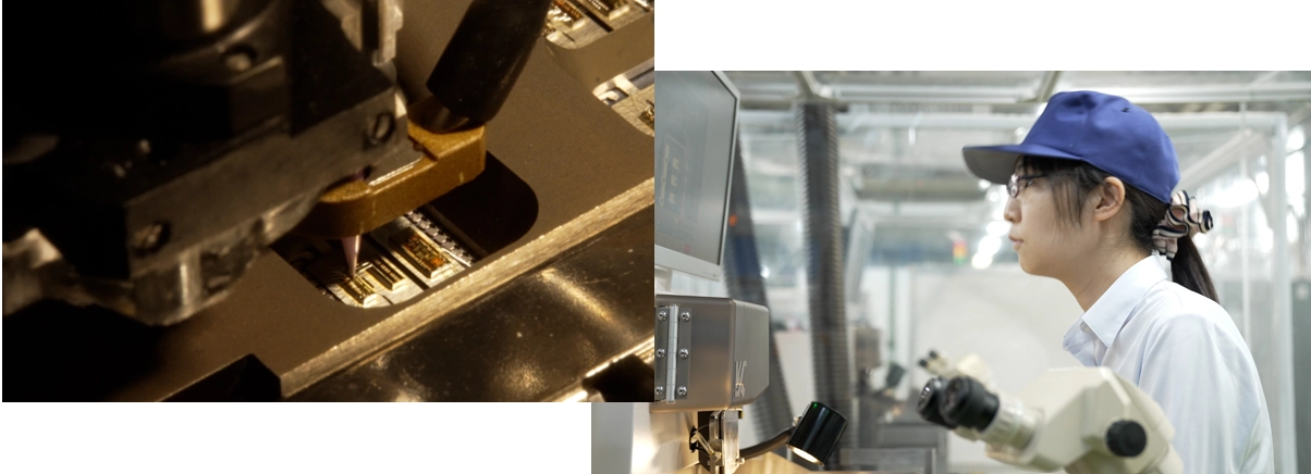 First and Foremost - the ‘Field’